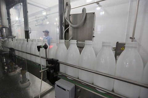 В новый агрохолдинг «Алания-молоко» инвестируют более 5 млрд рублей