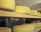 В Карелии начато производство итальянских сыров