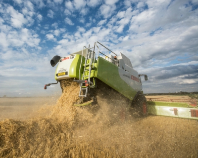 В 2016 году Россия может собрать 95-104 млн тонн зерна