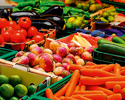 Как государство может помочь в увеличении производства овощей на $2,5 млрд