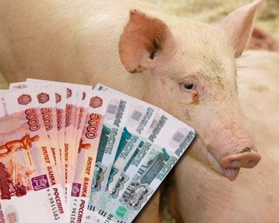 В свиноводство могут инвестировать 180 млрд рублей до 2018 года