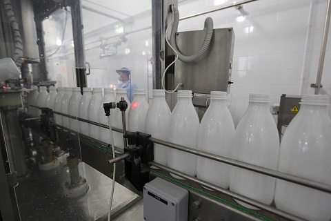 В Калининградской области построят завод по переработке молока за 3 млрд рублей