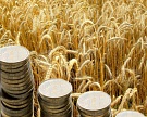 Красноярские аграрии получили 1,3 млрд рублей на посевную