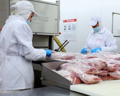 «Черкизово» на 3,8% уменьшила продажи свинины