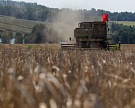 Ткачев не исключает абсолютного рекорда по урожаю зерна в 110 млн тонн