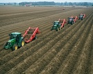 «АФГ Националь» купила очередной актив для картофельного бизнеса