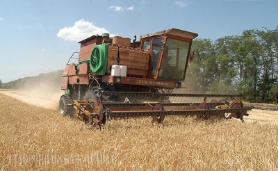 Чувашия уберет зерновые до конца недели