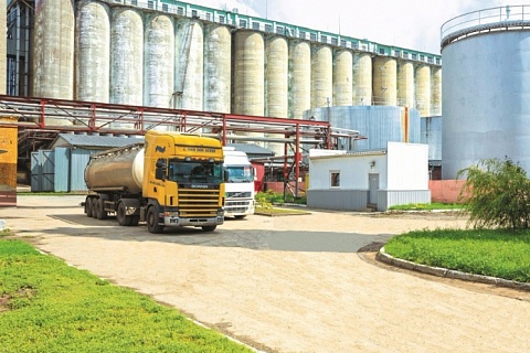 «Русагро» хочет построить крупнейший в мире завод соусов