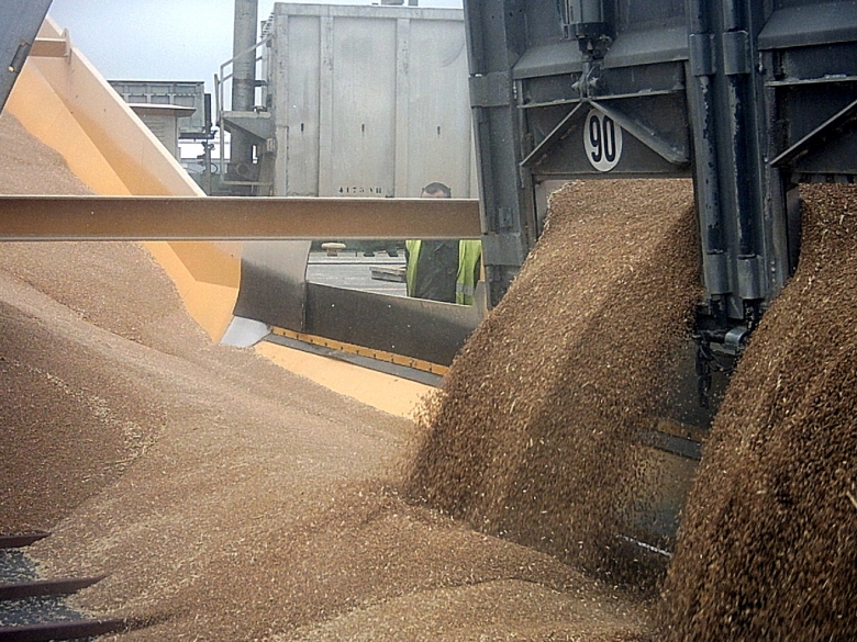 Главная экспортная позиция — пшеница