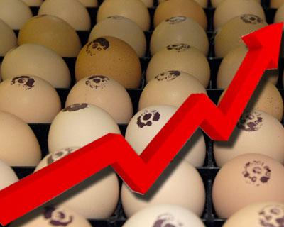 ФАС получает жалобы о подорожании яиц