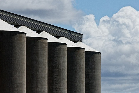 Союз экспортеров зерна предложил компромиссный размер экспортной квоты