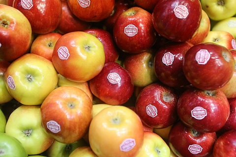 «АФГ Националь» начал брендировать яблоки