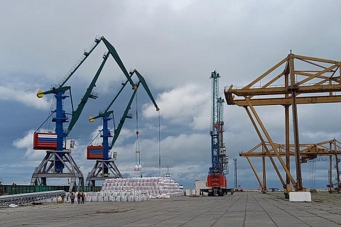 Китайская Famsun Group построит зерновой терминал в Дагестане