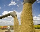 Украина могла экспортировать за год зерна на 5,6 млн тонн больше России