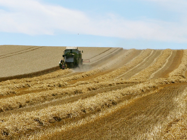 Сбор зерна — третий в современной истории