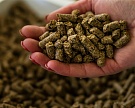 Украина объяснит ГМО в поставляемых в Россию комбикормах