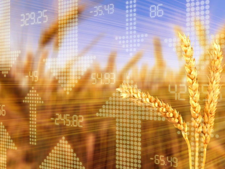 Аграрные пошлины: эффект для рынка. Какими потерями грозят сельхозпроизводителям экспортные пошлины