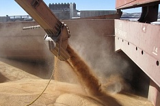 В апреле экспорт зерна сократился на 30%