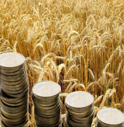 Правительство направило 36 млрд рублей на поддержку аграриев