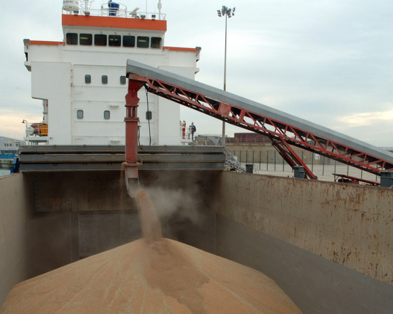 Экспорт зерна в июле вырос на 13% до 3,6 млн тонн