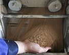 Минсельхоз предложил экспортировать зерно через биржу