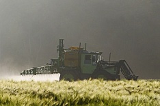 Приговор за глифосат: как судебные споры Monsanto влияют на бизнес