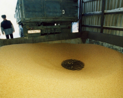 Минсельхоз обсуждает новые ограничения на экспорт зерна