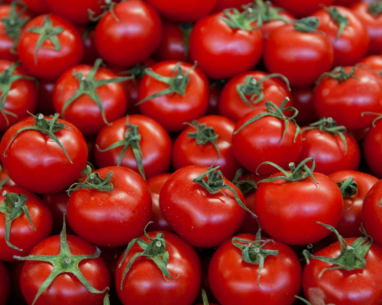 Эмбарго на&nbsp;ввоз турецких томатов действует с&nbsp;1&nbsp;января 2016 года