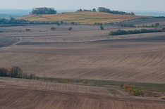 «ЭкоНива» покупает активы курского агрохолдинга