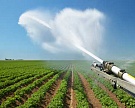 Иран использует ядерные технологии в сельском хозяйстве