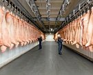 Топ-20 крупнейших производителей свинины по итогам 2016 года