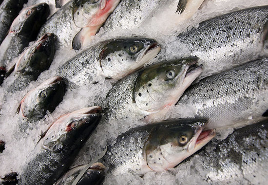 Рыбная продукция занимает 17% в агроэкспорте