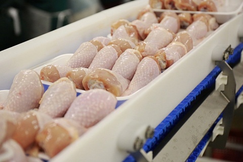 «Черкизово» увеличила экспорт мясной продукции на 38%