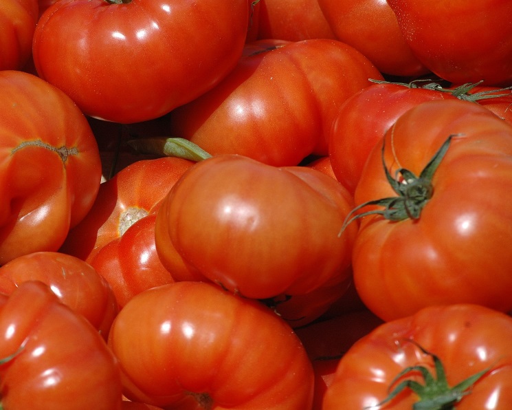 В&nbsp;этом сезоне на&nbsp;Турцию может прийтись около 10% российского импорта томатов