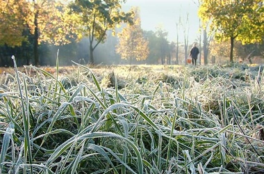 Заморозки в Хакасии могут привести к гибели сельхозкультур