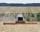 Гидрометцентр ожидает рекордного урожая зерна и масличных