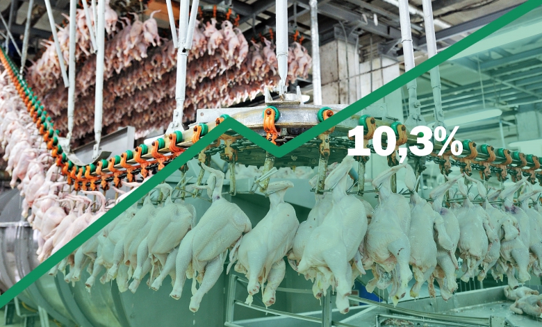 На 10,3% выросло производство мяса птицы
