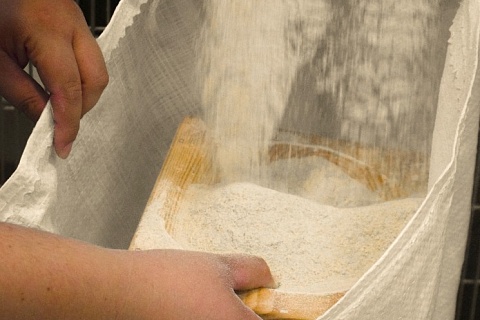 Алтайские переработчики зерна просят государство помочь с экспортом в Центральную Азию