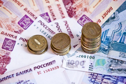 Правительство выделит дополнительно 20 млрд рублей на льготные кредиты для АПК
