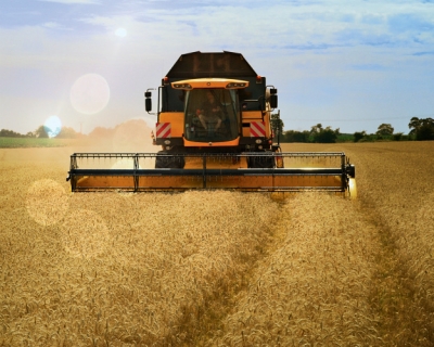 Глобальный рынок зерна будет стабильным