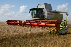 Claas на 38% увеличил продажи зерноуборочных комбайнов в России