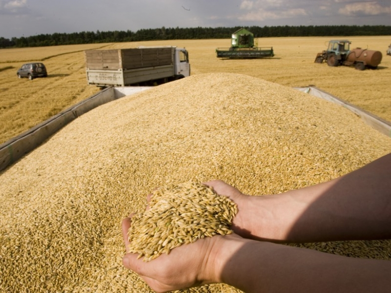 Урожаи зерна больше 100 млн тонн
