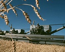 Рост агропроизводства в России составит 5%