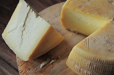«Щелково Агрохим» займется производством твердых сыров