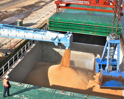 FAS USDA понизила прогноз экспорта пшеницы из России