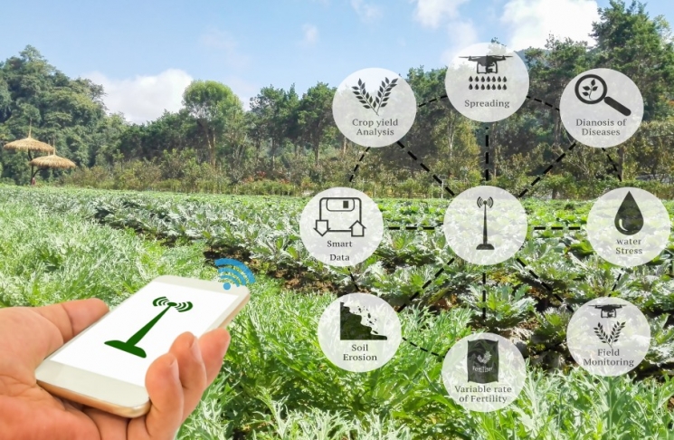 АПК будущего. Взгляд на сельское хозяйство сквозь призму анализа больших данных
