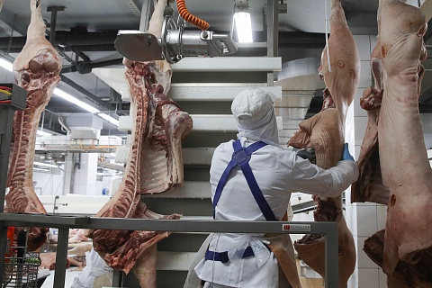 «Черкизово» планирует вложить 42 млрд рублей в мясоперерабатывающий кластер