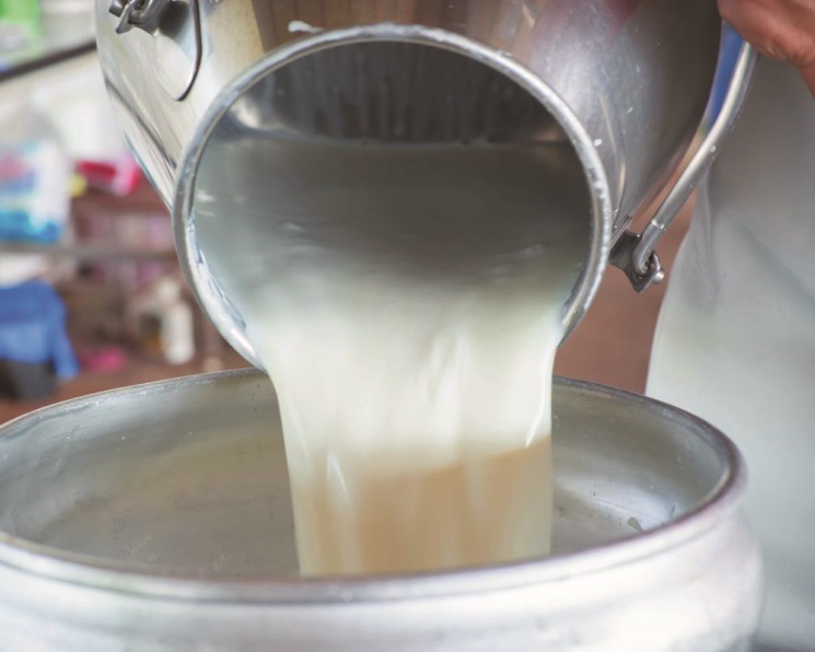 «Лишнее» молоко. Весь прирост производства сырья ушел в запасы