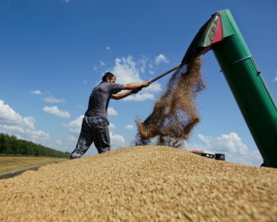 «Риф» в текущем сезоне стал крупнейшим экспортером зерна