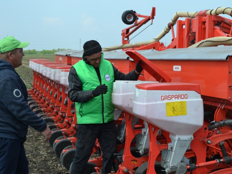 На агрополигоне «Приволжье» в Самарской области заложили опытные делянки с кукурузой